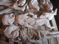 This image is from a Google Image Search